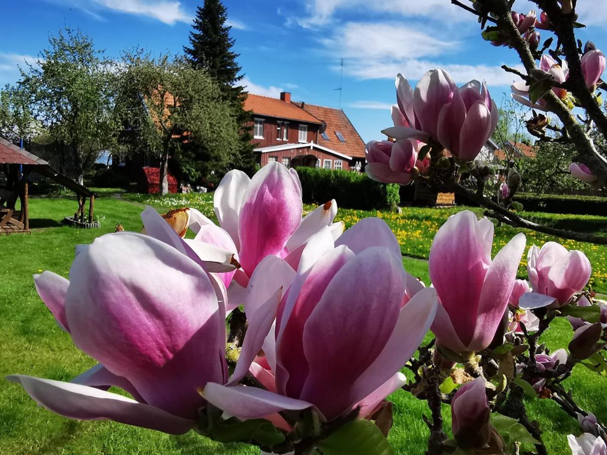 Neringarent Apartamentai Juodkrantė Zewnętrze zdjęcie